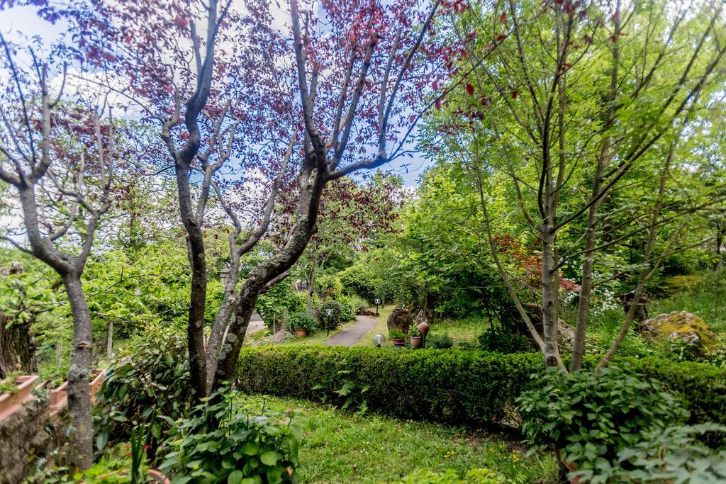 Il Boschetto Di Castagni Bed & Breakfast โซเรียโน เนล ชีมีโน ภายนอก รูปภาพ
